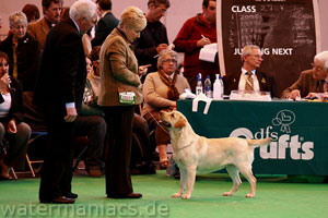 charlie_crufts